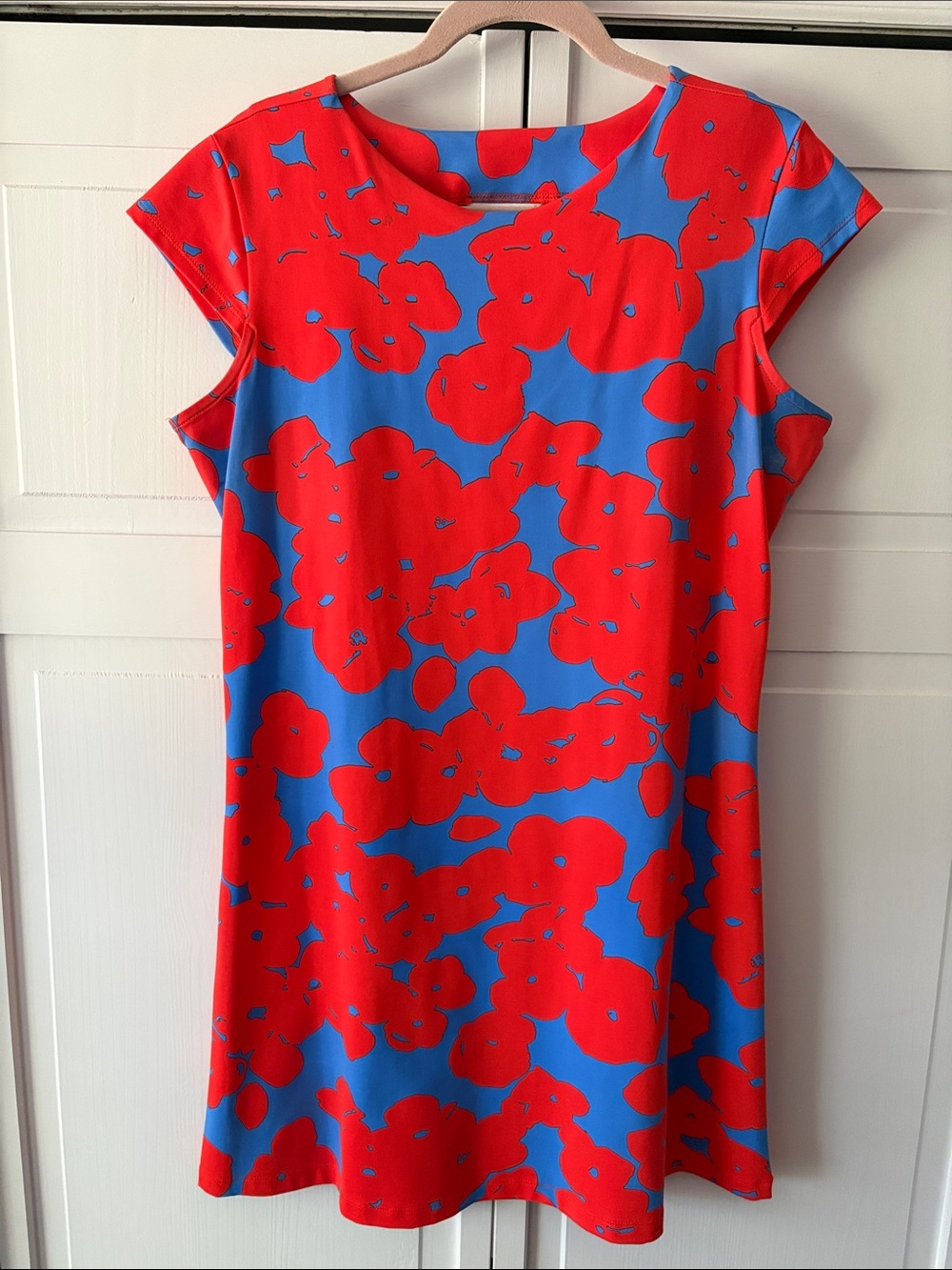 MAHI GOLD Blue and Red Bold Floral Dress-size  XL